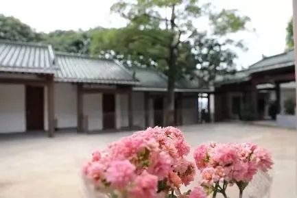 厦门禅意书院,厦门书香馥郁书院