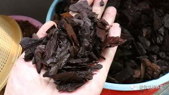 家养绿萝盆里的土越来越少怎么办,土养的绿萝要怎么样才不会黄叶子