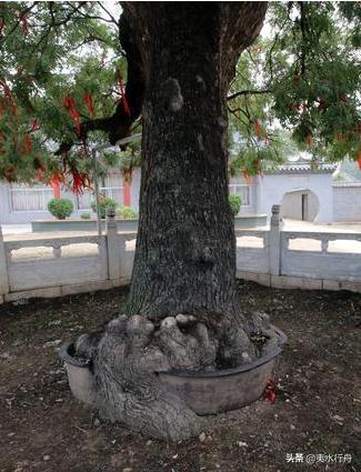 玄烨白云寺,康熙在明孝陵写下的四个字