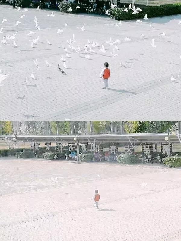 天津市独立院校（四）天津财经大学珠江学院