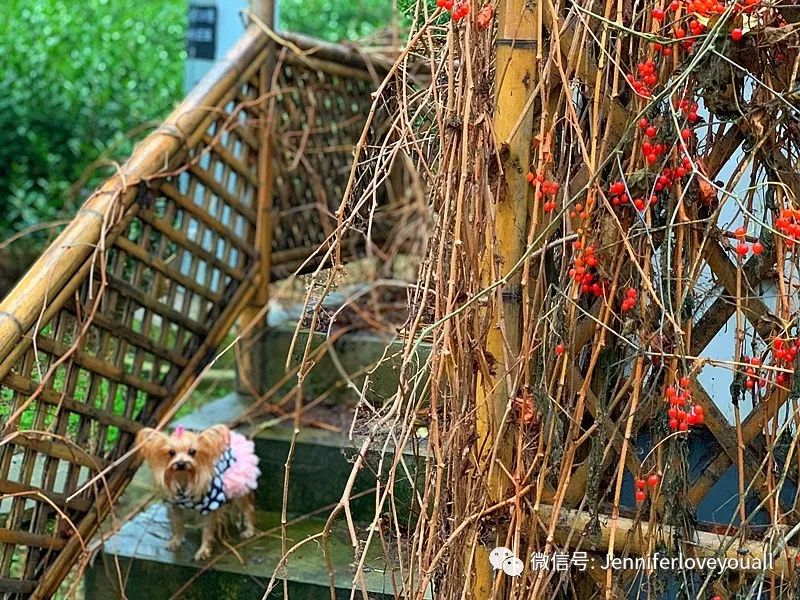 溧阳市香云小筑民宿酒店,香云小筑价格