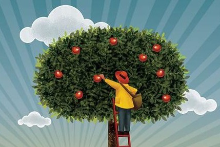 不知道的苹果小知识,小苹果有几种