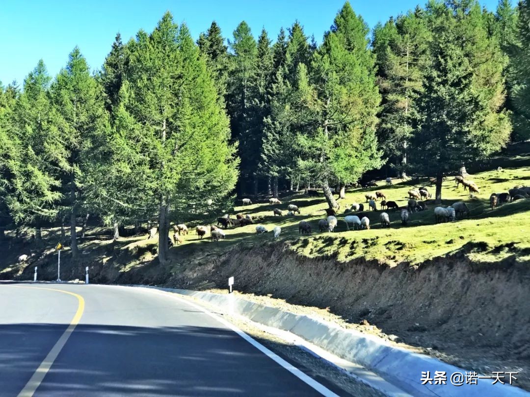 旅行新疆的美,旅行带你感受不一样的文化风情