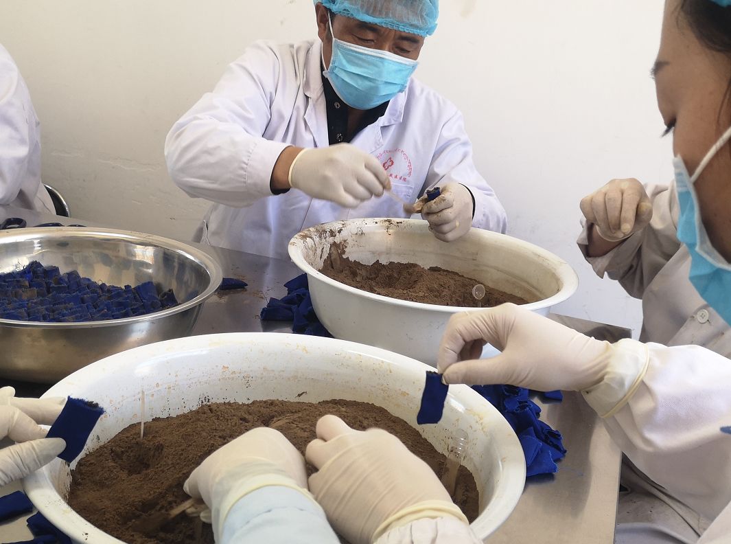 钘忓尰闃叉帶鐤儏,鐗硅壊钘忓尰鍔╁姏鐤儏闃叉帶