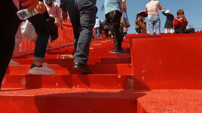 新春踏上深圳光明“虹”地毯，牛年红红火火