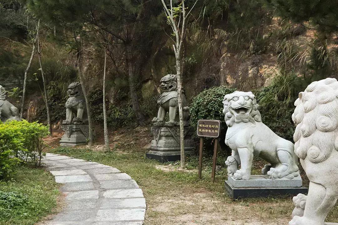 到了泉州却不知道哪里玩,惠安科山公园不爬山游玩攻略