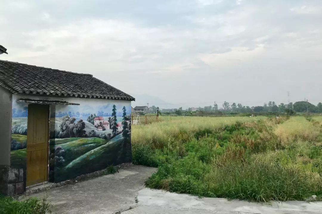 探店民宿普通房间,野风艺栈轰趴主题民宿