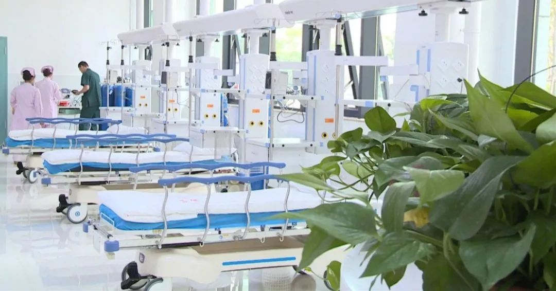 就医最新通知,就医报销新政策