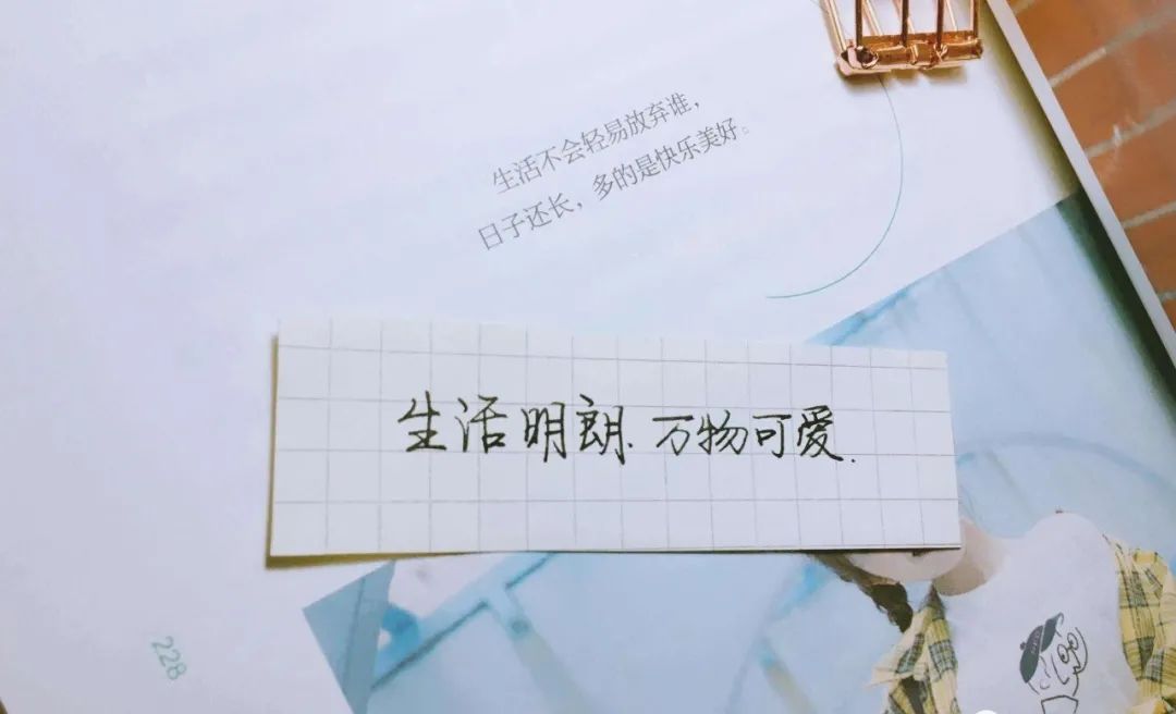 生活明朗万物可爱头像,生活明朗万物可爱文案