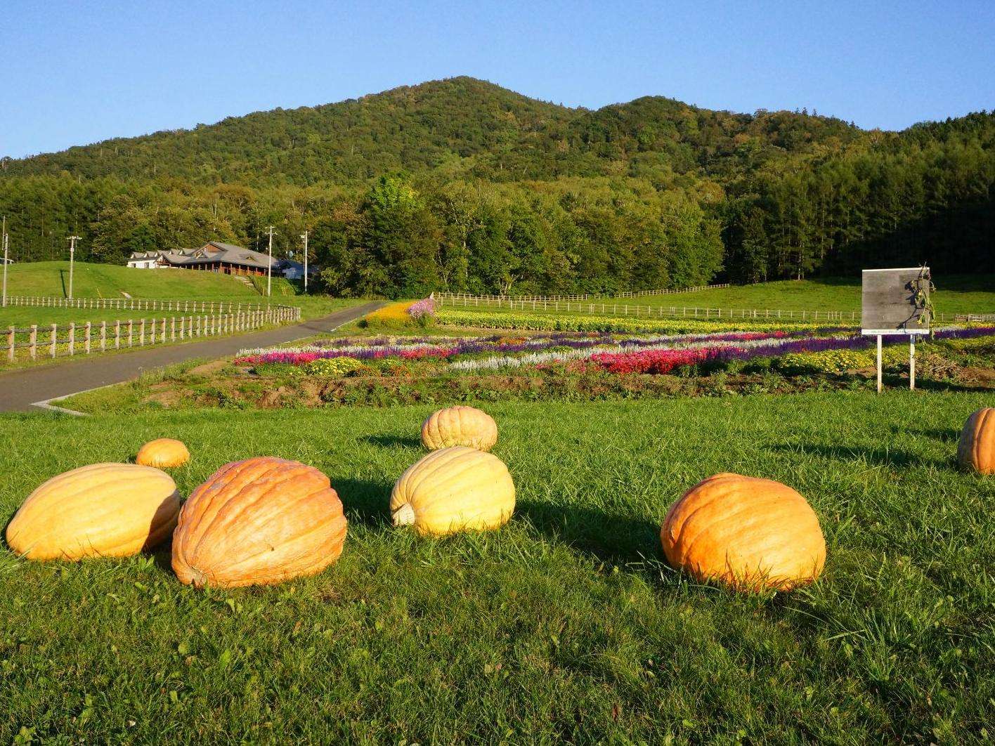 欧盟有机标准认证,欧盟有机认证最严格吗