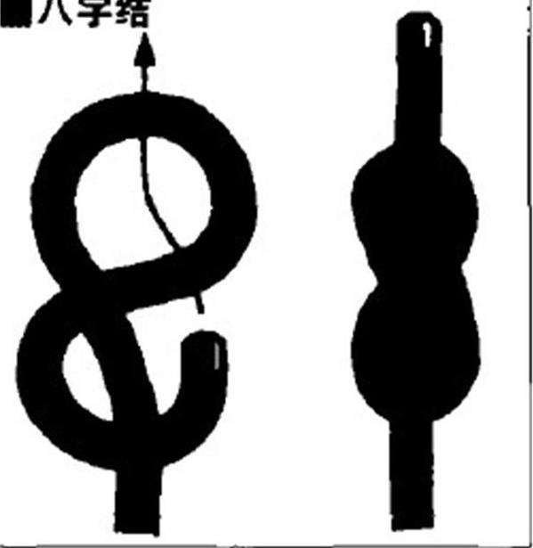 户外绳结编法大全图解,教大家一个户外绳结用于野外狩猎