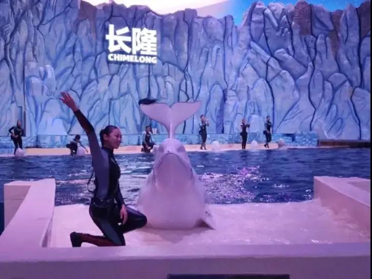 来一场说走就走的旅行珠海长隆,广东长隆及珠海长隆旅游攻略