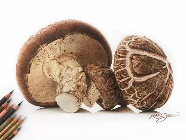 彩铅不会涂色怎么办,彩铅绘画干货