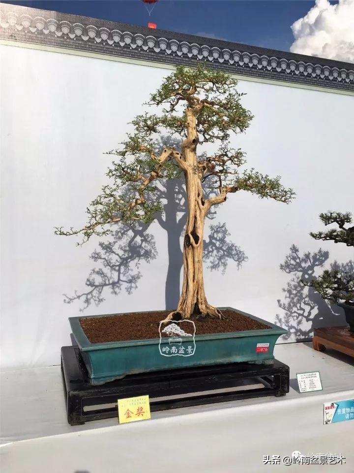 骞哥涔呬箙鐢滅敎铚滆湝,骞哥涔呬箙