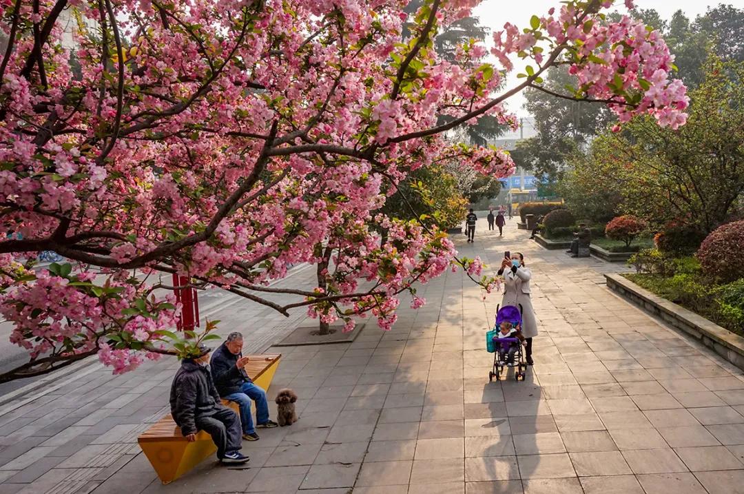 有一座城市,有没有一座城市让你无限向往