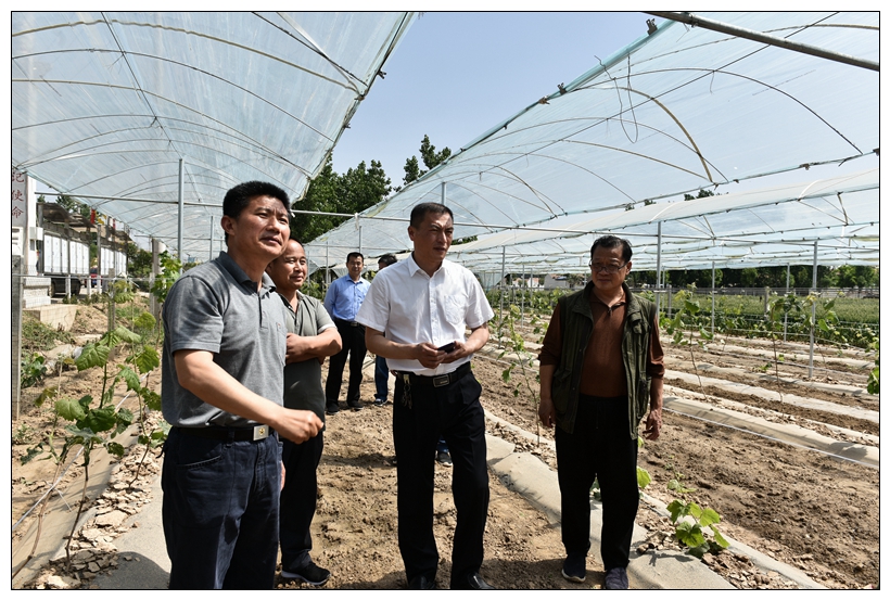 小葡萄成就致富梦