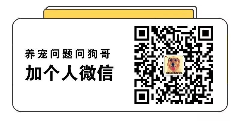 网上买猫咪体内驱虫靠谱吗,猫咪驱虫药宠物店有卖吗