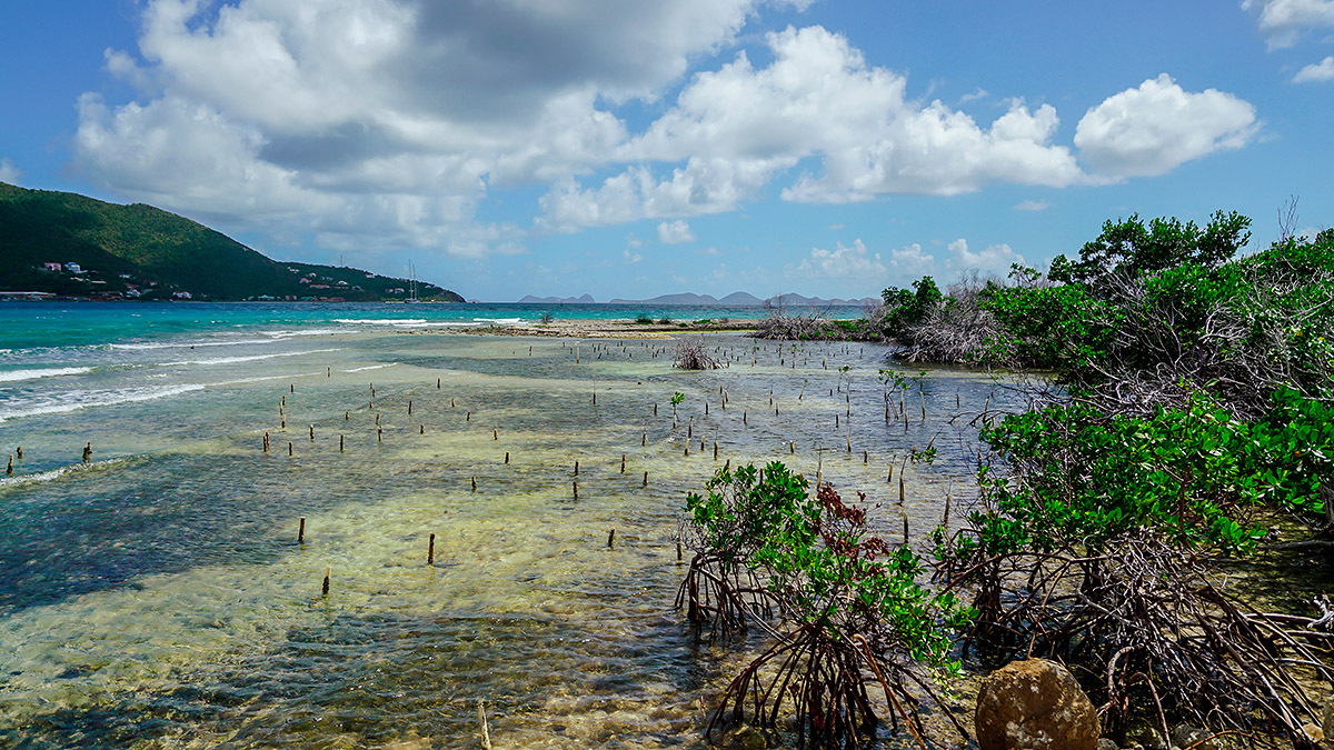 加勒比海盗故事来源,加勒比海盗的主要故事情节