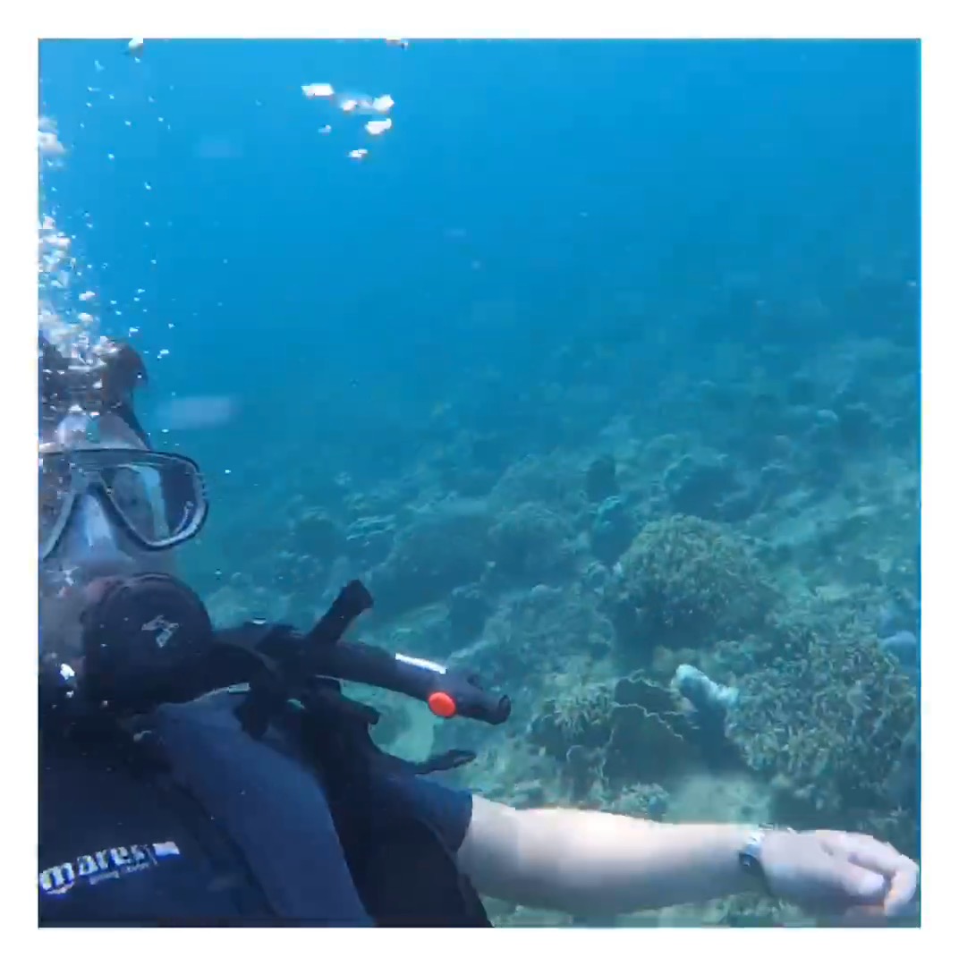 珍珠岛一日游,珍珠岛景点