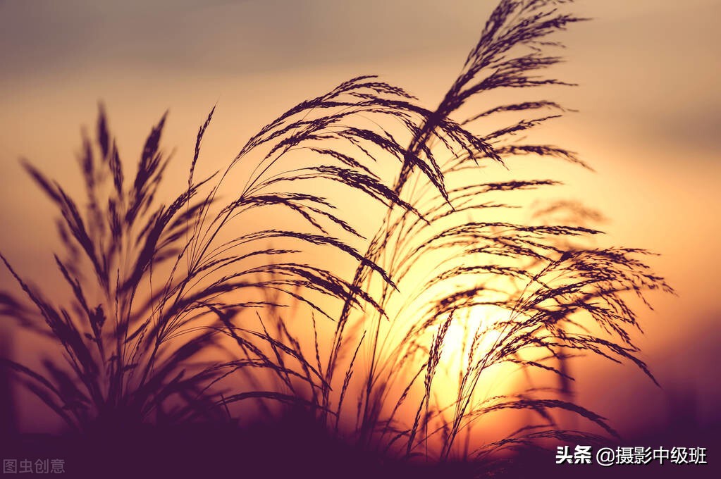 拍摄日落的技巧有哪些方法,拍摄日落有什么技巧