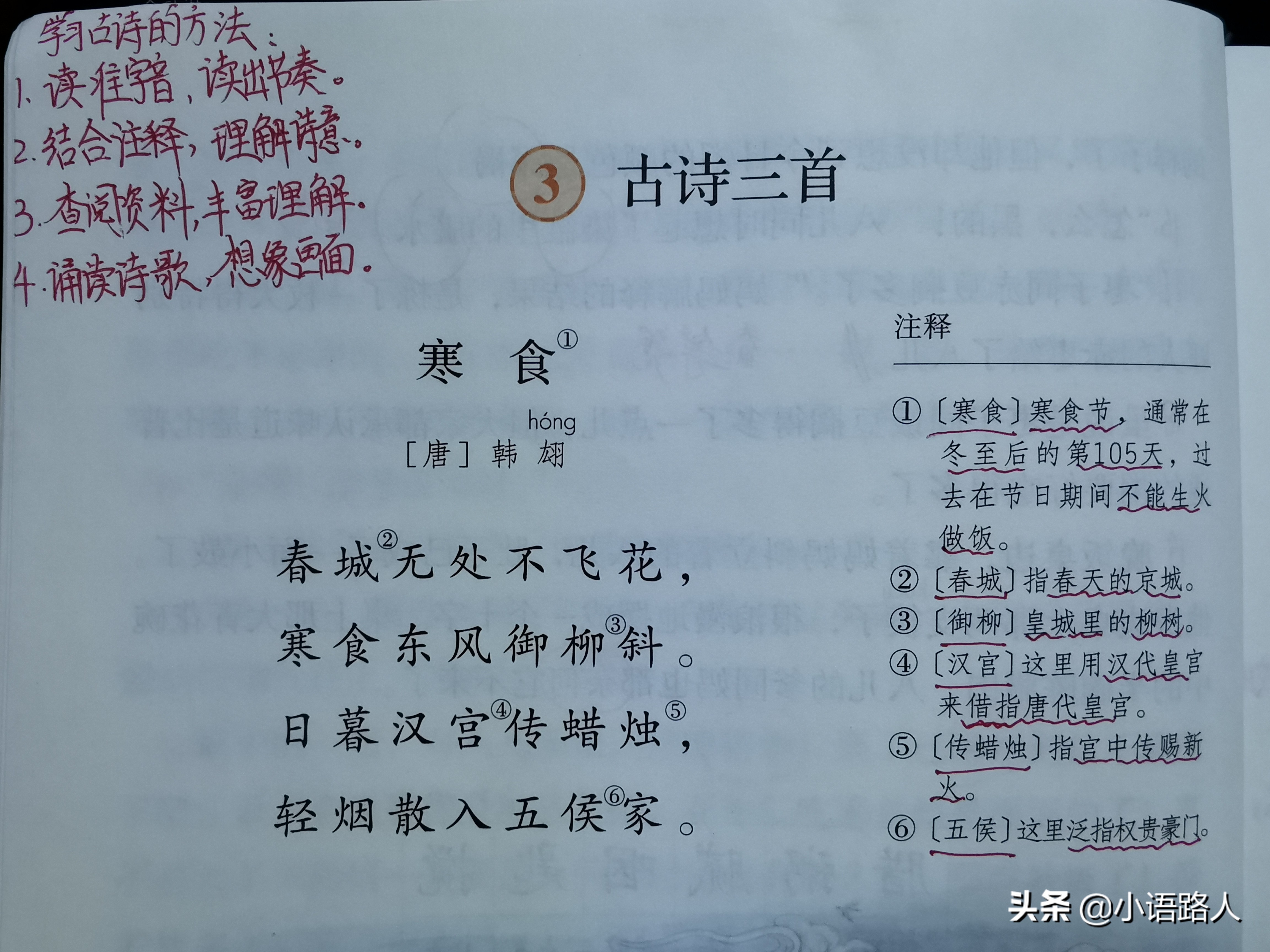 六年级下册语文第1单元提升卷,语文六年级下册期中卷部编版2020