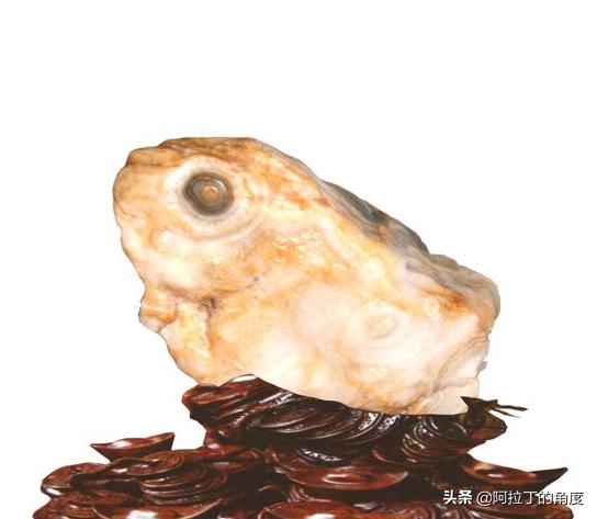 奇石感悟经典文章,奇石解读