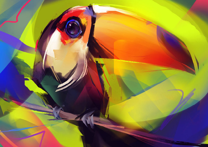 好看可爱又简单的动物眼睛插画,黑白和彩色强烈对比的插画