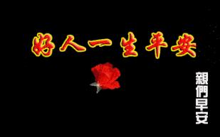 实用的微信热门表情图像,微信聊天不用打字表情包动态