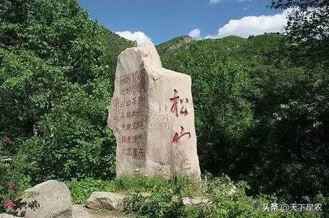 山东德青源鸡蛋基地,德青源农业扶贫