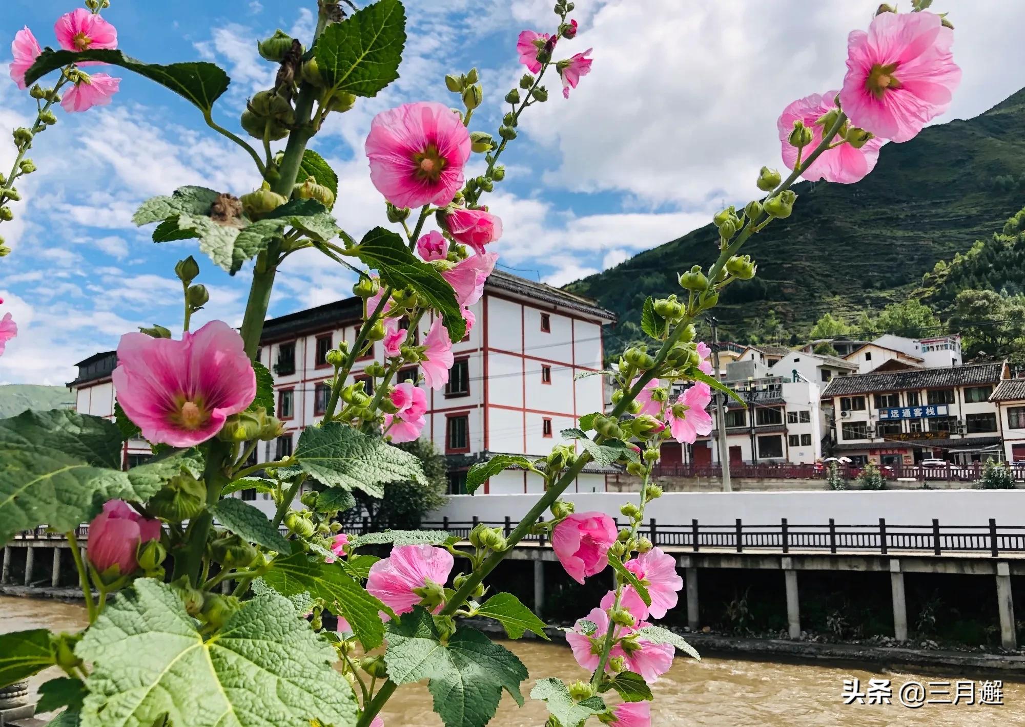 美丽松潘历史文化,美丽松潘简谱