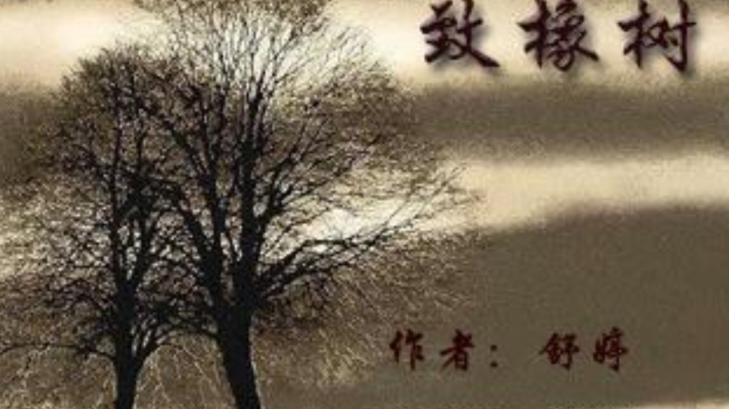 洋洋姑娘的感情很不如意，《致橡树》给了她怎样的爱情观？