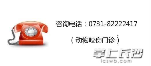 6岁男孩被狗咬伤13天后狂犬病发生,6岁的男孩被狂犬病咬伤