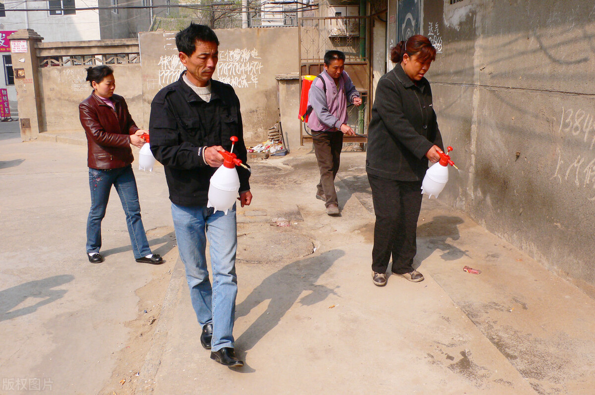 虱子童年回忆,20年前的虱子为什么消失了科普