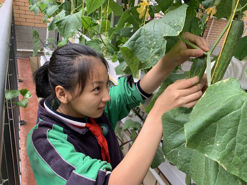 城东小学校歌乐器,城东小学文艺表演青春节拍