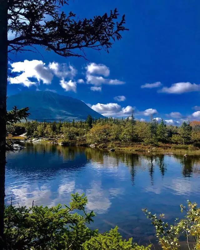 久违的蓝天白云图,看到蓝天白云心情就莫名的好