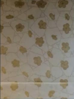 黄简讲书法六级课程4,黄简讲书法三级课程第4节