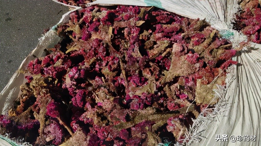 11月1日中药材市场快讯：金樱子、生地、红花、覆盆子、北沙参等