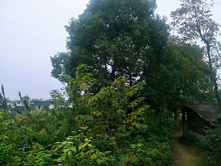 武冈斜塔的传说,武冈当地传说