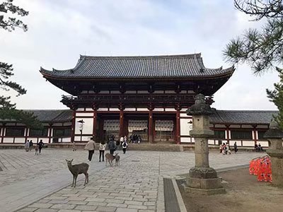 2020鏃ユ湰澶ч槳,澶ч槳浜兘濂堣壇鍏ぉ瀹夋帓