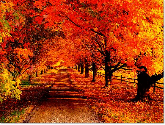 初学者怎么写打油诗,怎么学打油诗最快入门