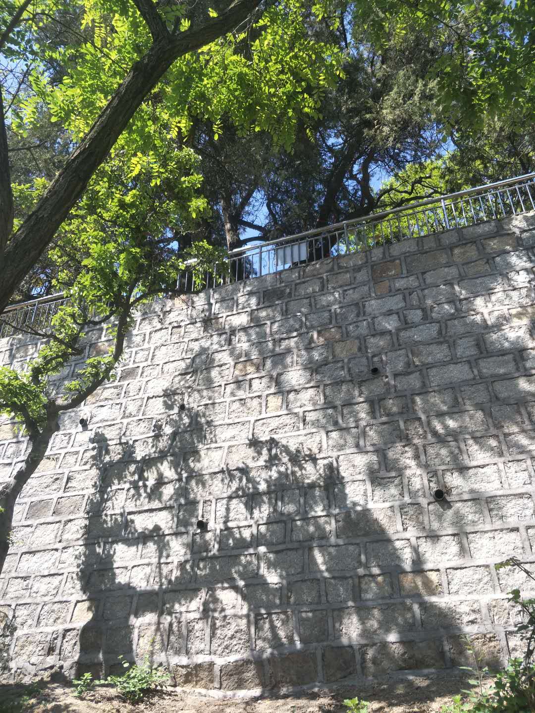 踏春五宝庵风景,踏春五宝庵山在哪里