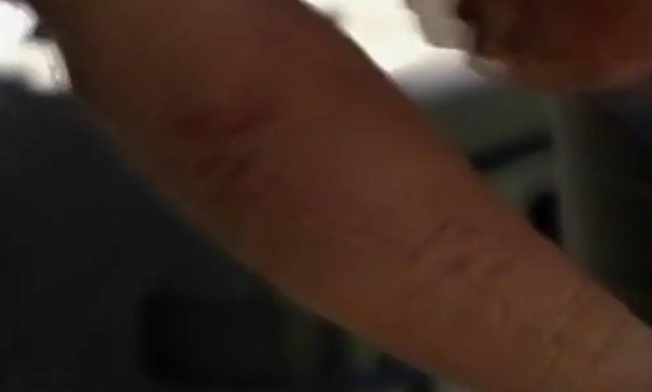 亚马逊森蚺真的能生吞活人吗?猎捕方式告诉你可能性极低