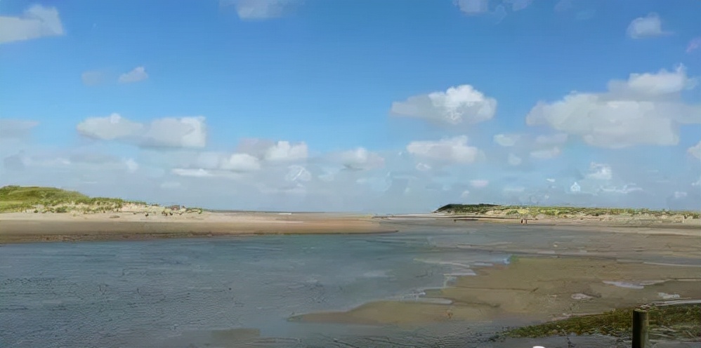 比利时大闸蟹泛滥怎么回事,来聊聊野生海鲜