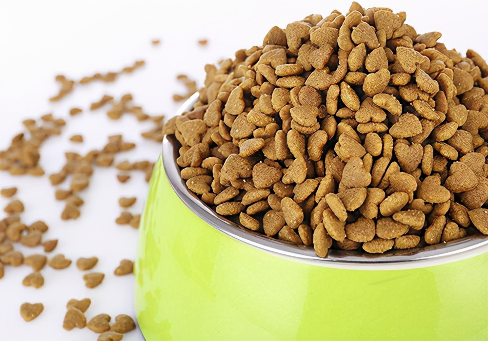 养宠经验:如果狗狗不吃饭怎么办?改善喂食方式,调整饮食结构