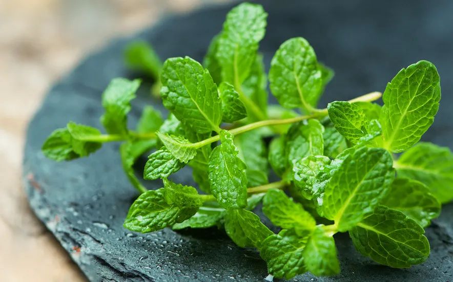 连同事都抢着试的高颜值口喷，用完嘴巴好清新，哈气都是香的