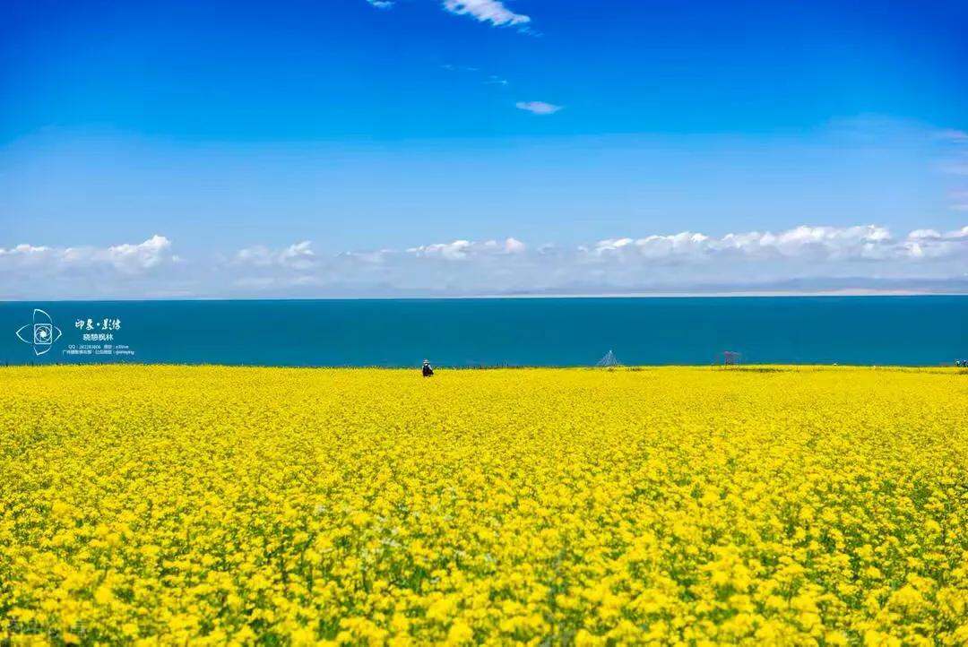 朗读者遇见开场白全文,中国诗词大会关于遇见的开场白