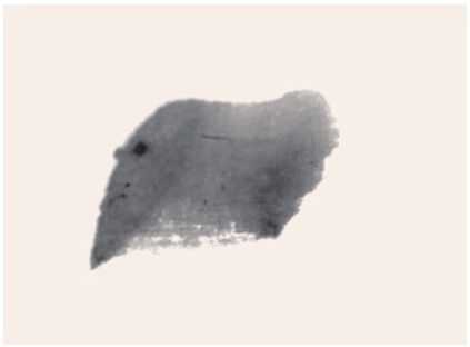 国画牡丹叶子的画法一窍不通,如何画牡丹花叶子和枝干国画视频