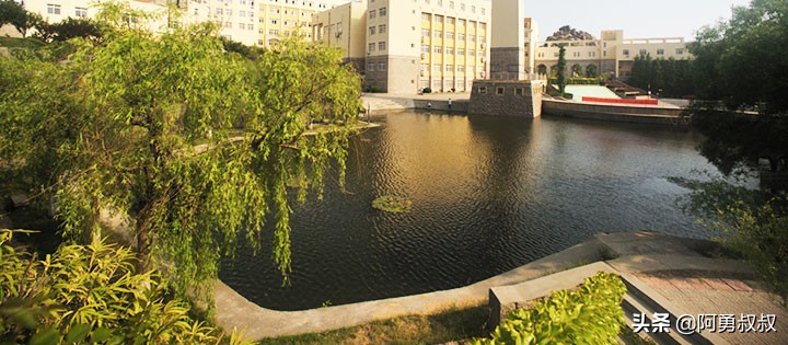 青岛二中2019高考成绩,经验分享大学专业