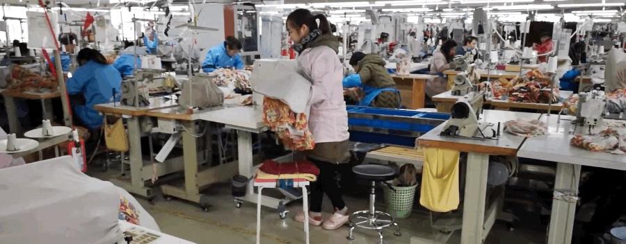 探访行业领军人物,探访国货之光