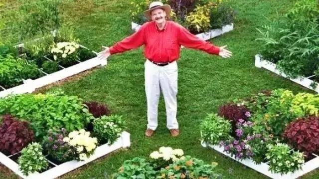 小型菜园怎么合理利用,1米菜园立体菜园